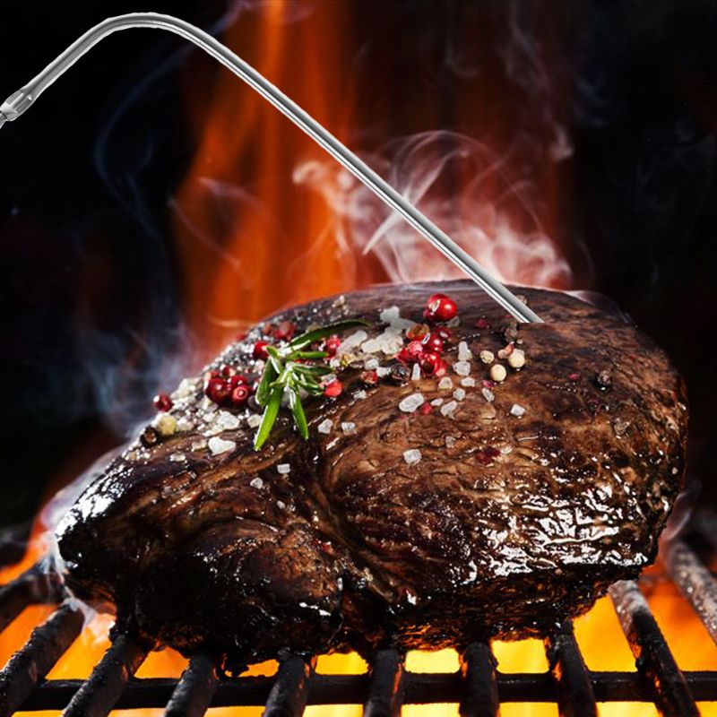 2025 New Temperature Probe Sta - Kitchen Gadgets New 2025 评论和价格
