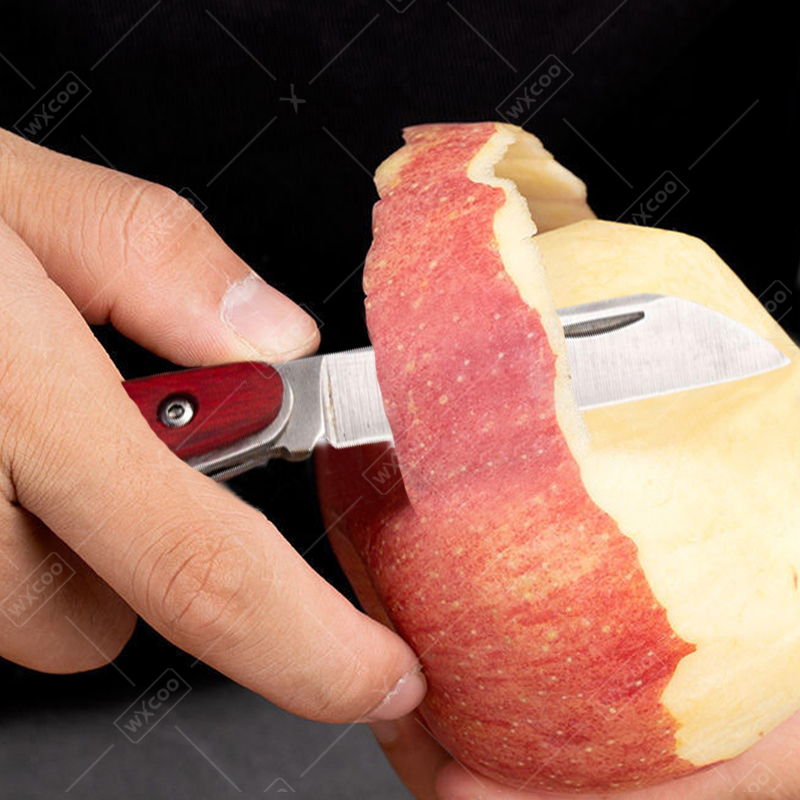 Stainless Steel Pocket Knife R - Kitchen Handy Gadgets 评论和价格