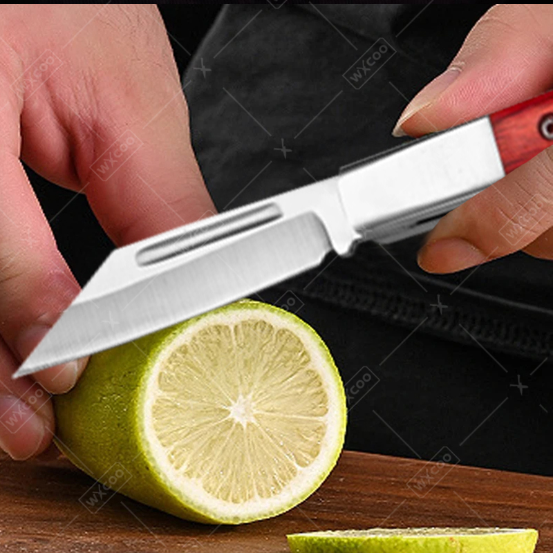 Stainless Steel Pocket Knife R - Kitchen Handy Gadgets 评论和价格